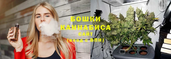 прущие грибы Сосновый Бор