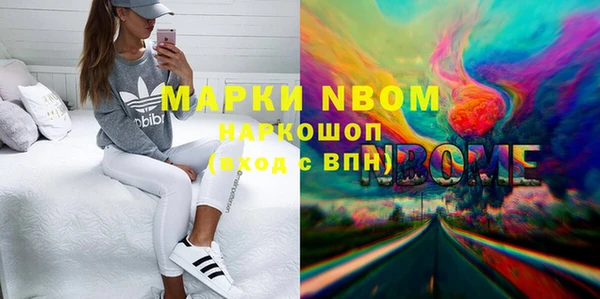 прущие грибы Вязьма